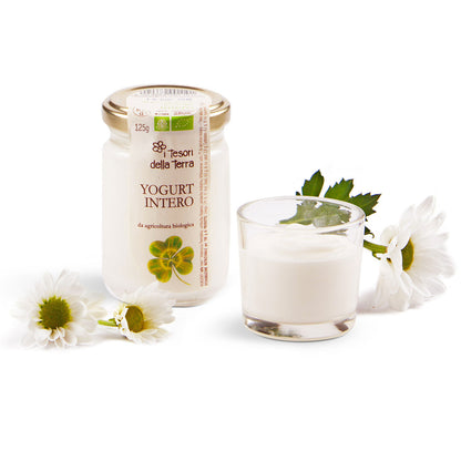 YAOURT LAIT ENTIER BLANC 125G